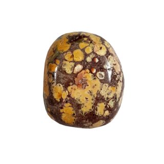 Leopardenfell Jaspis Edelstein Trommelstein ca.24g