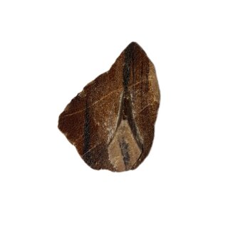 Staurolith, Rohstein ca. 5g