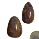 Versteinertes Holz Schmuck Edelstein gebohrt ca.15g
