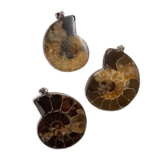 Schmuckanhänger Ammonit, ca. 11g, 44x30mm